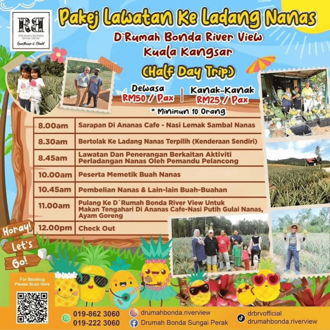 Pakej lawatan ladang nanas kuala kangsar perak